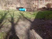 IMG_20240317_102411 (1024x768).jpg